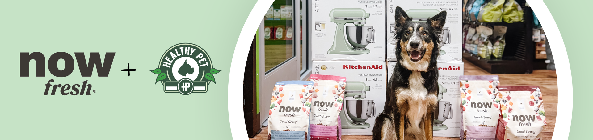 Now Fresh + Healthy Pet Giveaway