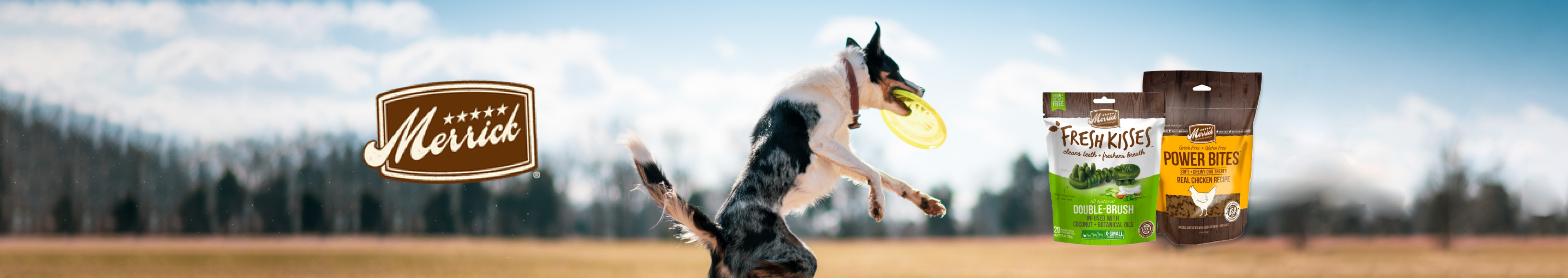 Merrick – Healthy Pet Austin