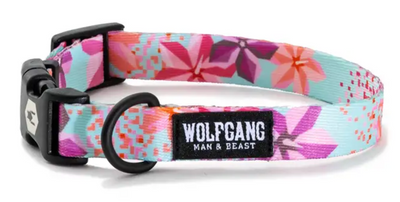 Wolfgang Dog Collar