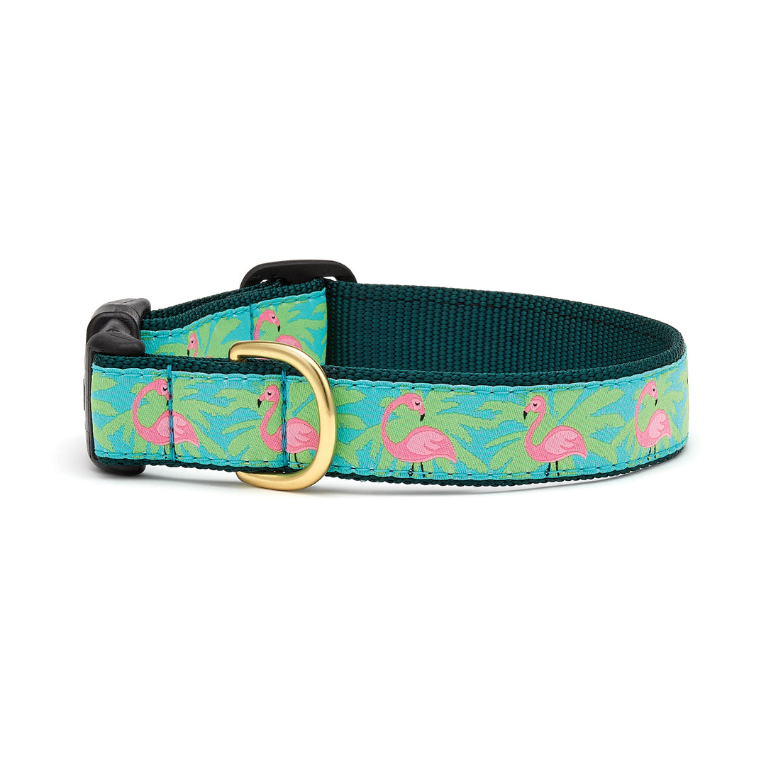 Up Country Flamingo Dog Collar