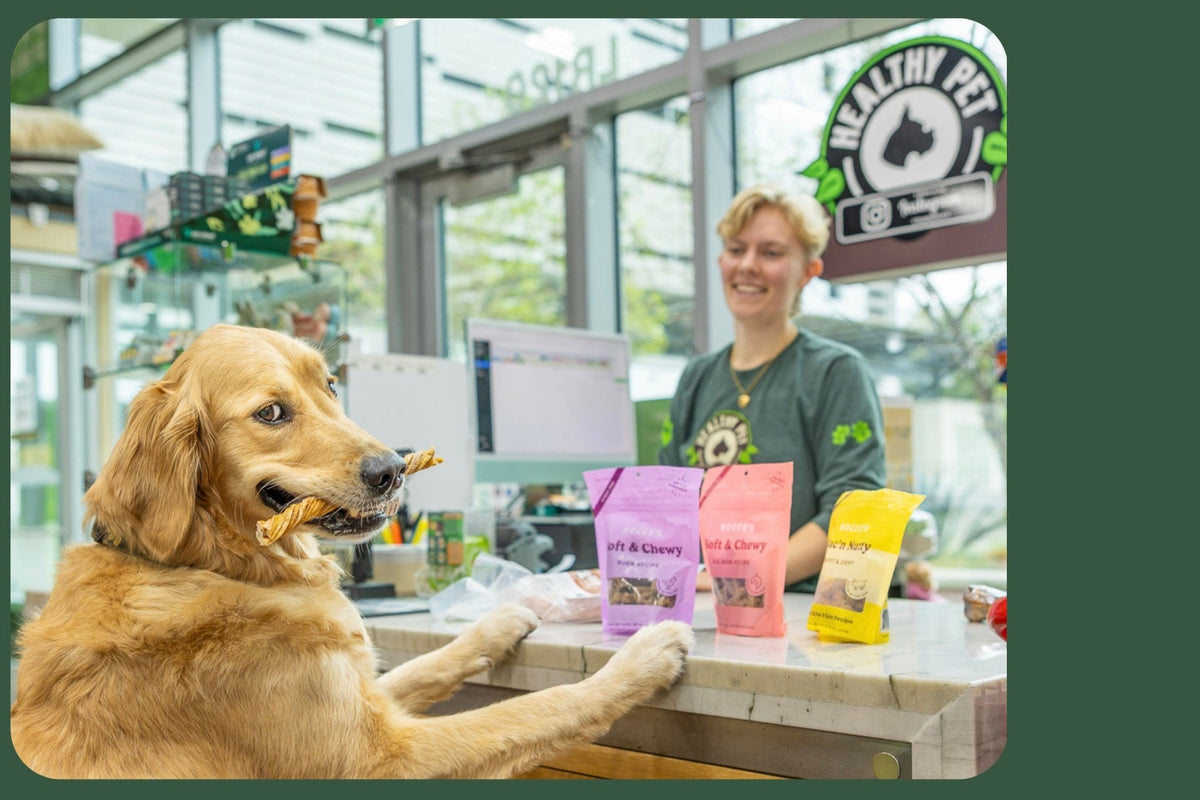 Healthy Pet Hero