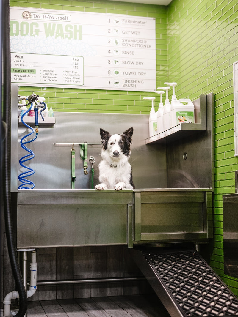 Our Cleaning Routine