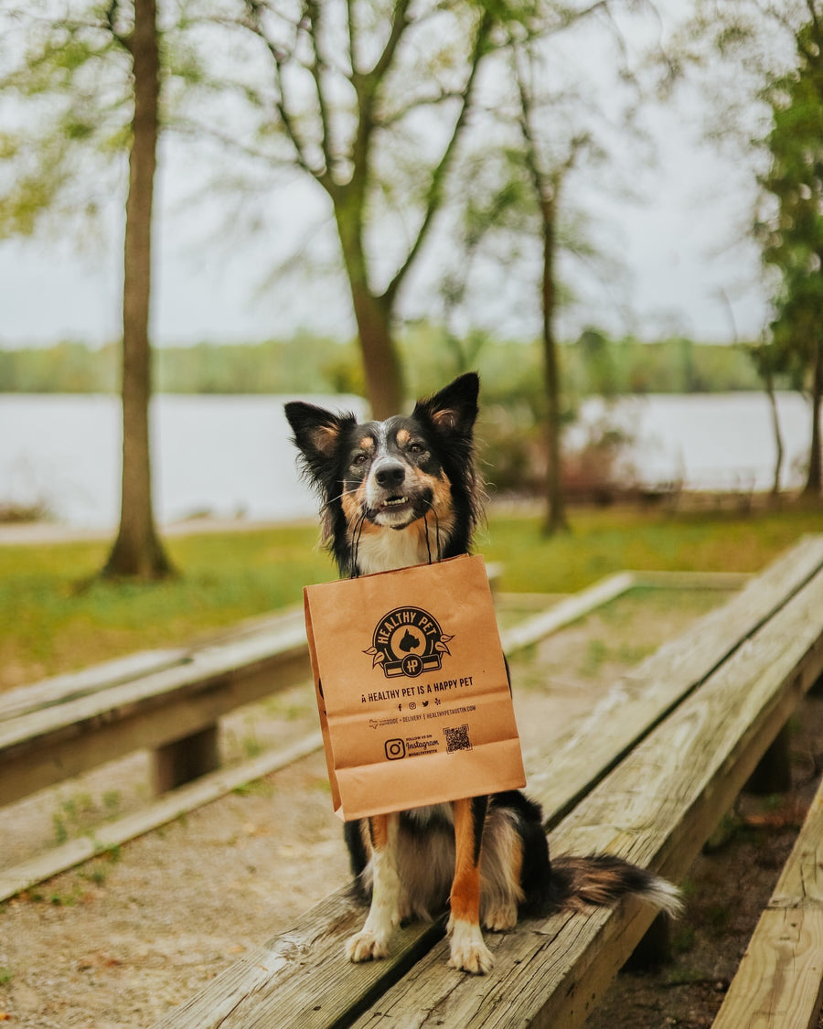 Rescue partnership with Healthy Pet Austin