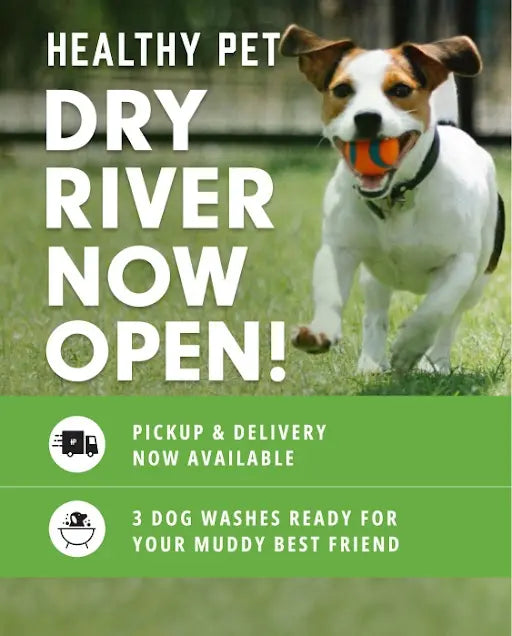 Dog stores near sales me open now