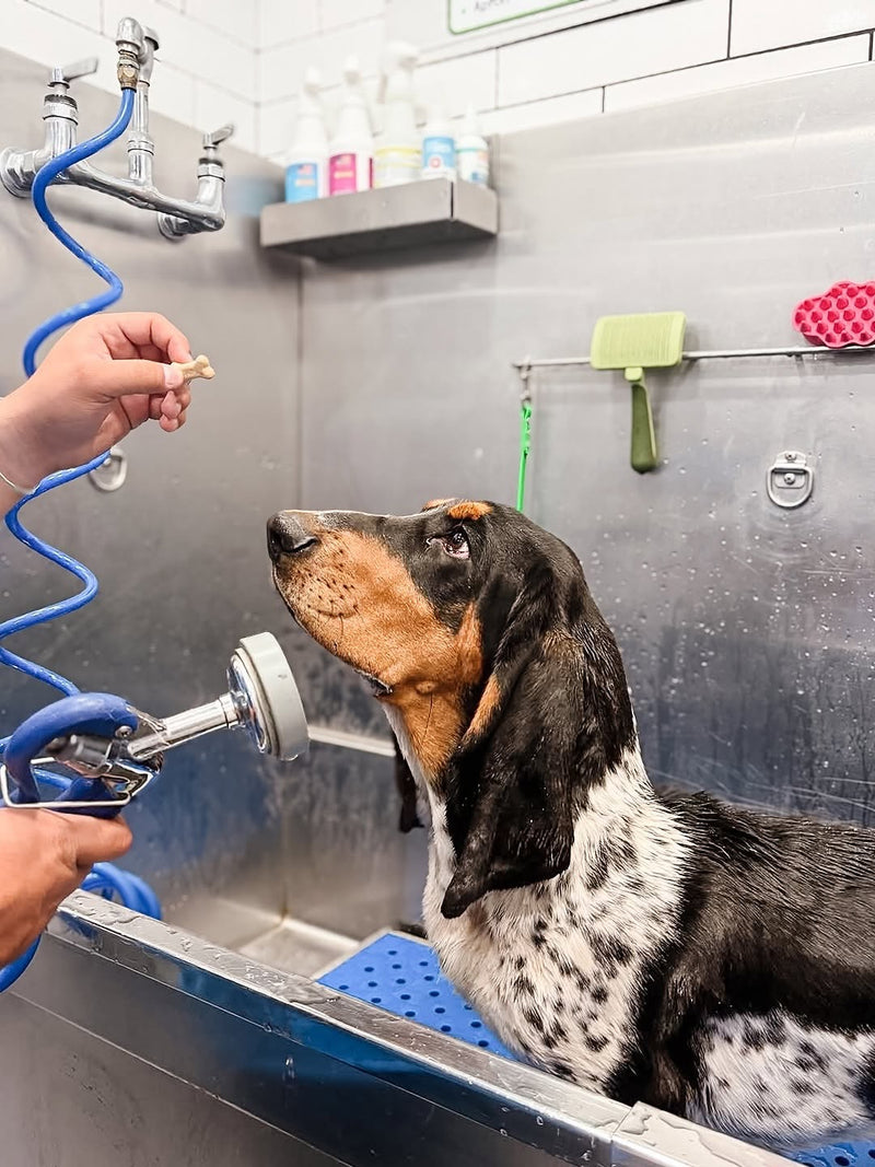 Bond During Bath Time