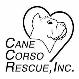 Cane Corso Rescue