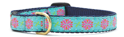 Up Country Cat Collar