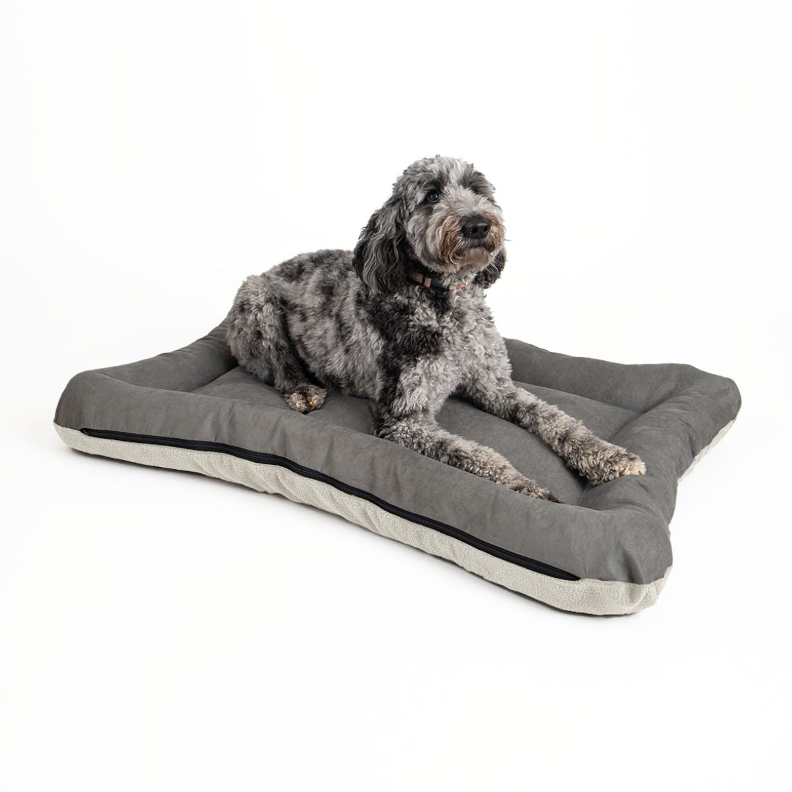 Snoozer All Day Bed