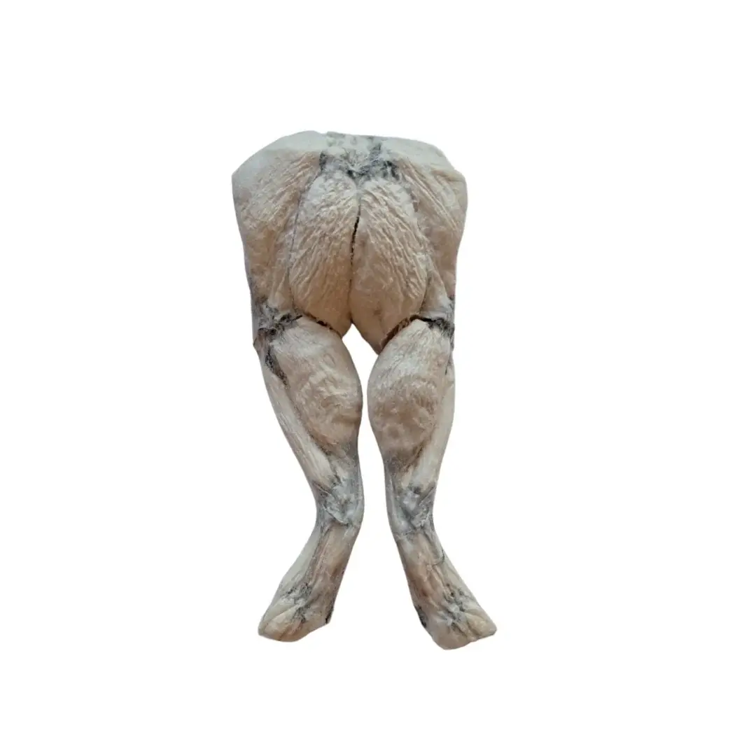 Bones & Co Freeze Dried Frog Legs