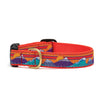 Up Country Ski & Surf Dog Collar