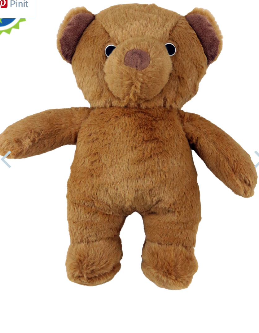 Dog Star Roosevelt the Bear