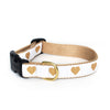 Up Country White Heart of Gold Dog Collar