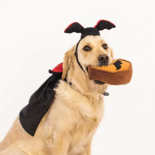 Zippy Paws Dracula Halloween Costume Kit