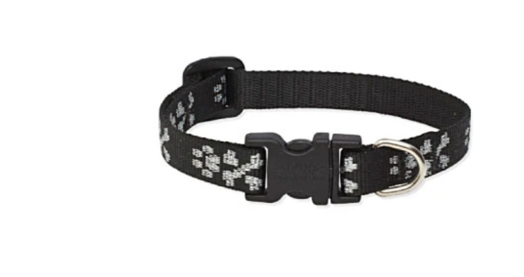 Lupine Original Collars