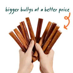 Woof Pet BullySafe Collagen Chew