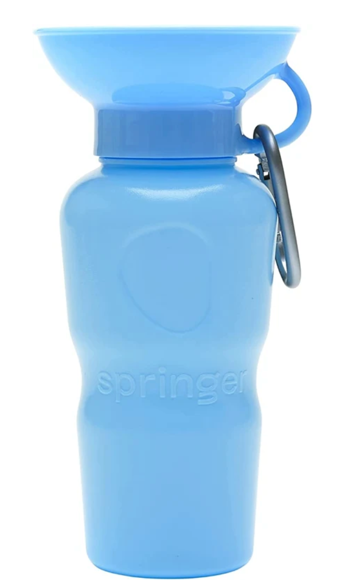Springer Auto Cup