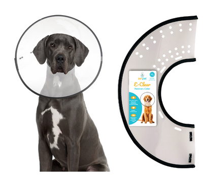 ZenPet E-Clear Plastic Recovery Collar