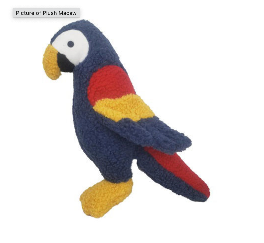 Dog Star Wildlife Mickie the Macaw