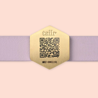 Tailr QR Pet ID Tag