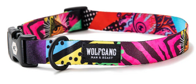Wolfgang Dog Collar