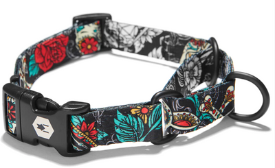Wolfgang Dog Collar