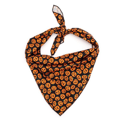 The Worthy Dog Bandana