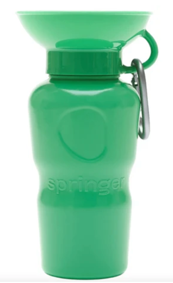 Springer Auto Cup