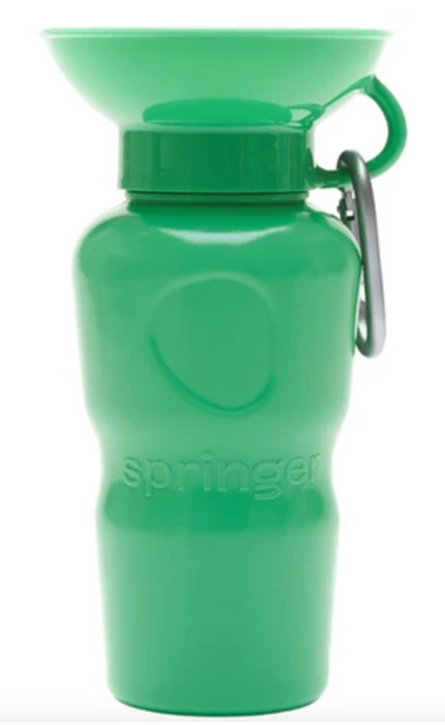 Springer Auto Cup
