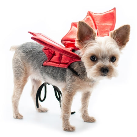 DOGO Designs Dragon Wings
