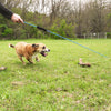 DigyPet Whimsy Stick Flirt Pole