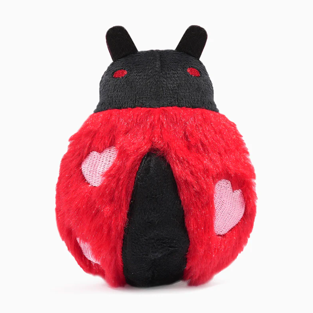 HugSmart Pet Love Bug
