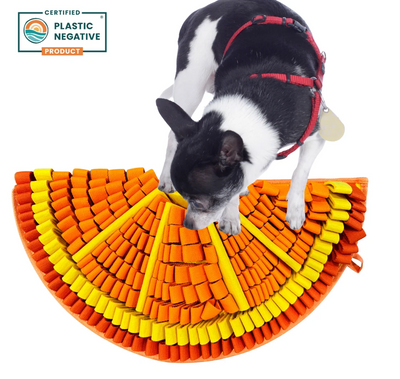 Summertime is known as the dog days for a reason! Our Tangy Orange Snuffle Mat from the Citrusy Collection is here to remind you that canine enrichment toys can help brighten up your furry friend’s summer. Bright colours, sturdy material, and...