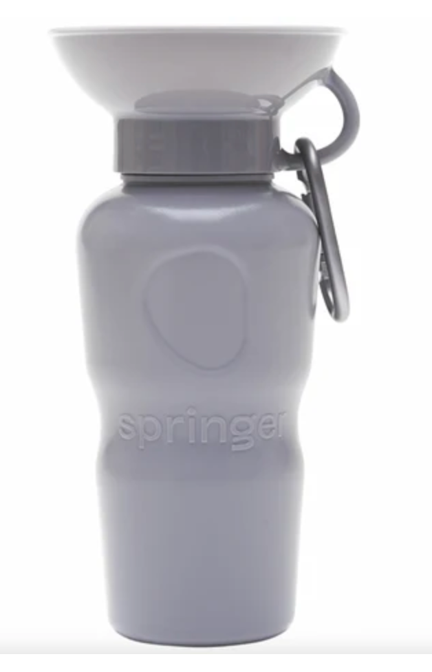 Springer Auto Cup