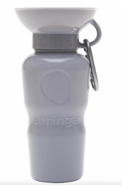 Springer Auto Cup