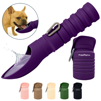 Puppington Collapsible Water Bottle
