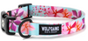 Wolfgang Dog Collar