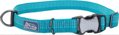 Coastal K9 Explorer Brights Reflective Dog Collar