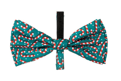 FuzzYard Holiday Bowtie