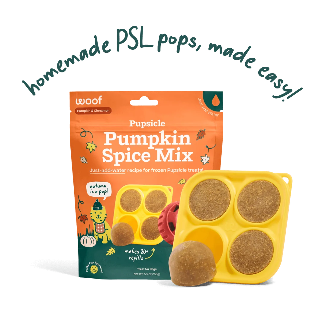 Woof Pet Pupsicle Treat Mix Balanced Pumpkin Spice 5.5 oz