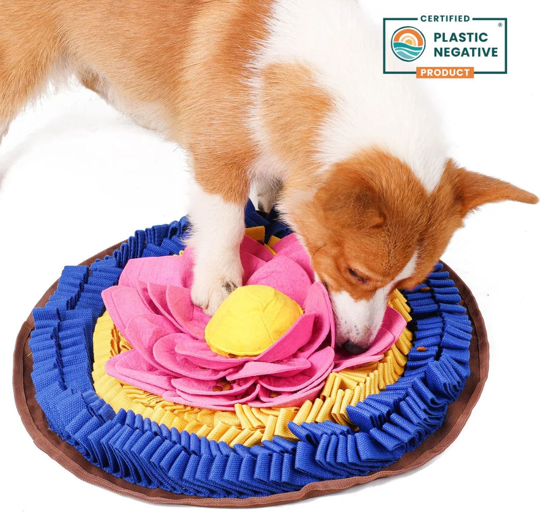 PawzNDogz Divine Lotus Snuffle Mat Level 3