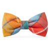 Foggy Dog Bow Tie