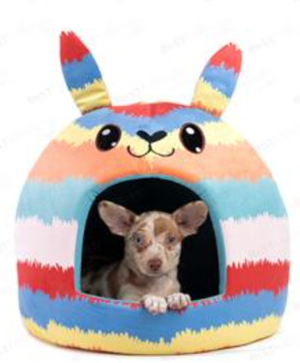 Best Friends Novelty Hut Pet Bed