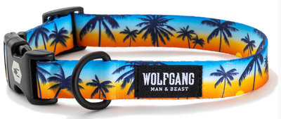 Wolfgang Dog Collar