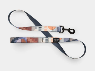 Leeds Dog Supply Leash