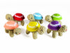 Goli Designs Lil Turtle
