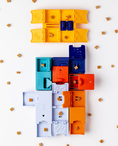 Pawzler Genius Set Level 3 Puzzle Toy