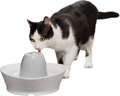 PetSafe Creekside Ceramic Pet Fountain 60 oz