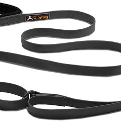 OllyDog Tilden Adjustable Waterproof Leash