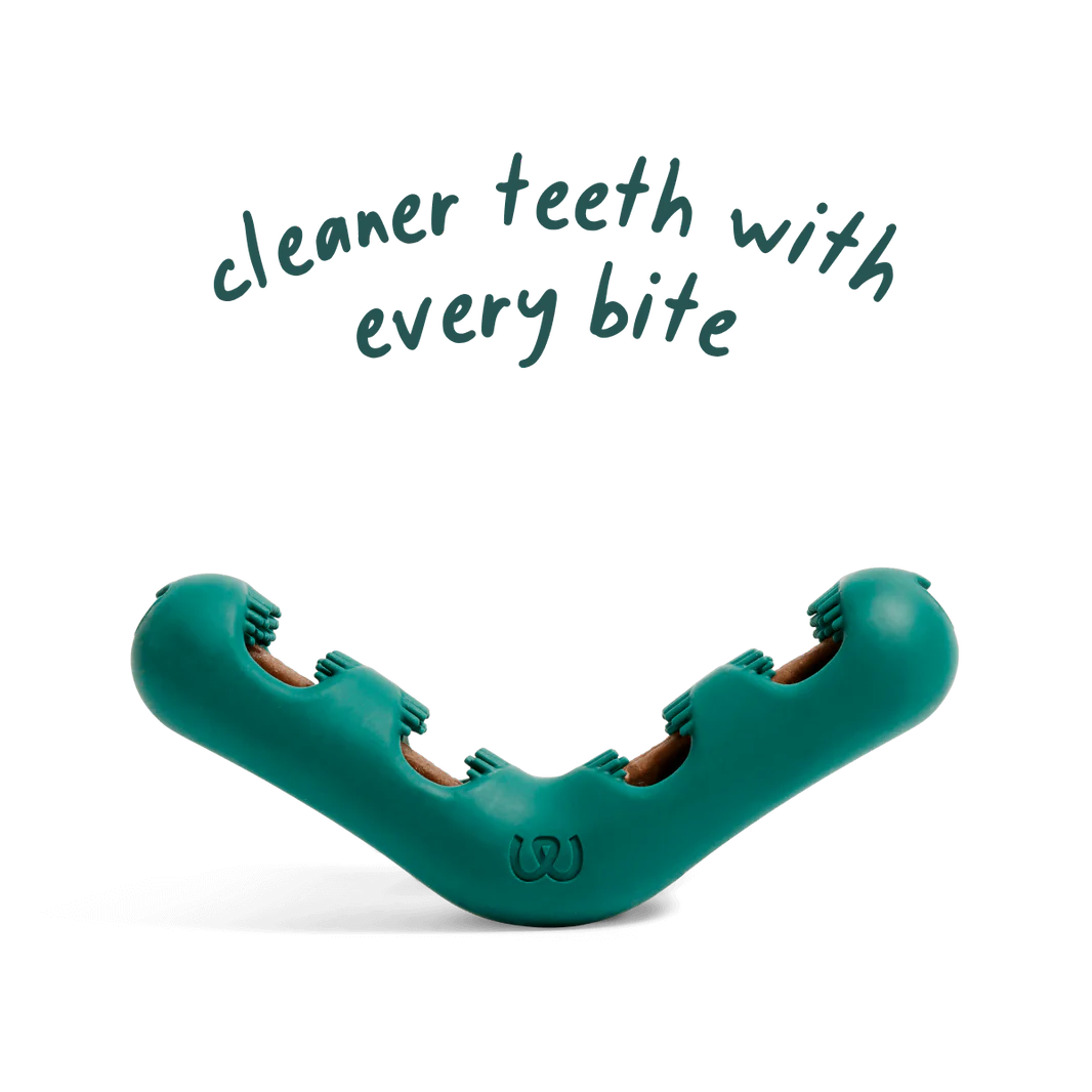 Woof Pet Bite n' Brush Chew Toy