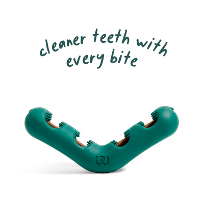 Woof Pet Bite n' Brush Chew Toy